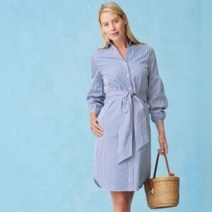 J. McLaughlin Blue Striped Long Sleeve Dress